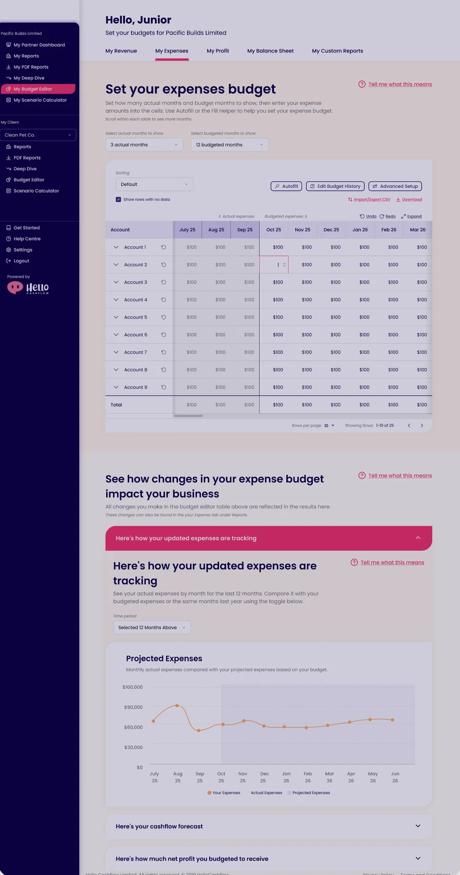 Budget Editor_edited.png